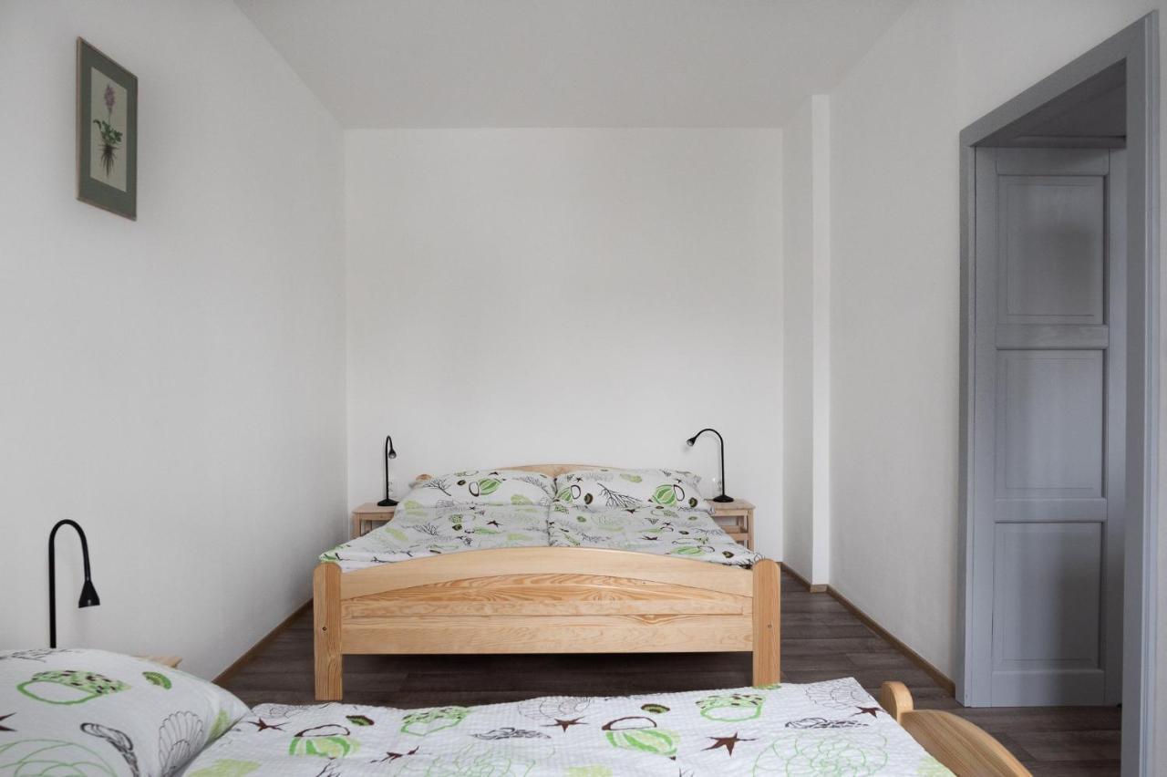 Apartmany16 Olesnice V Orlickych Horach Dış mekan fotoğraf