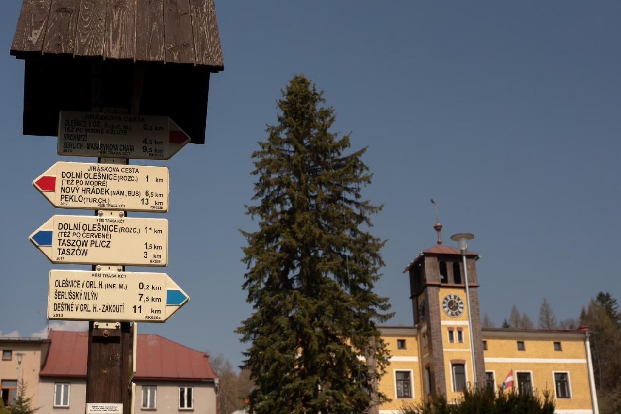 Apartmany16 Olesnice V Orlickych Horach Dış mekan fotoğraf