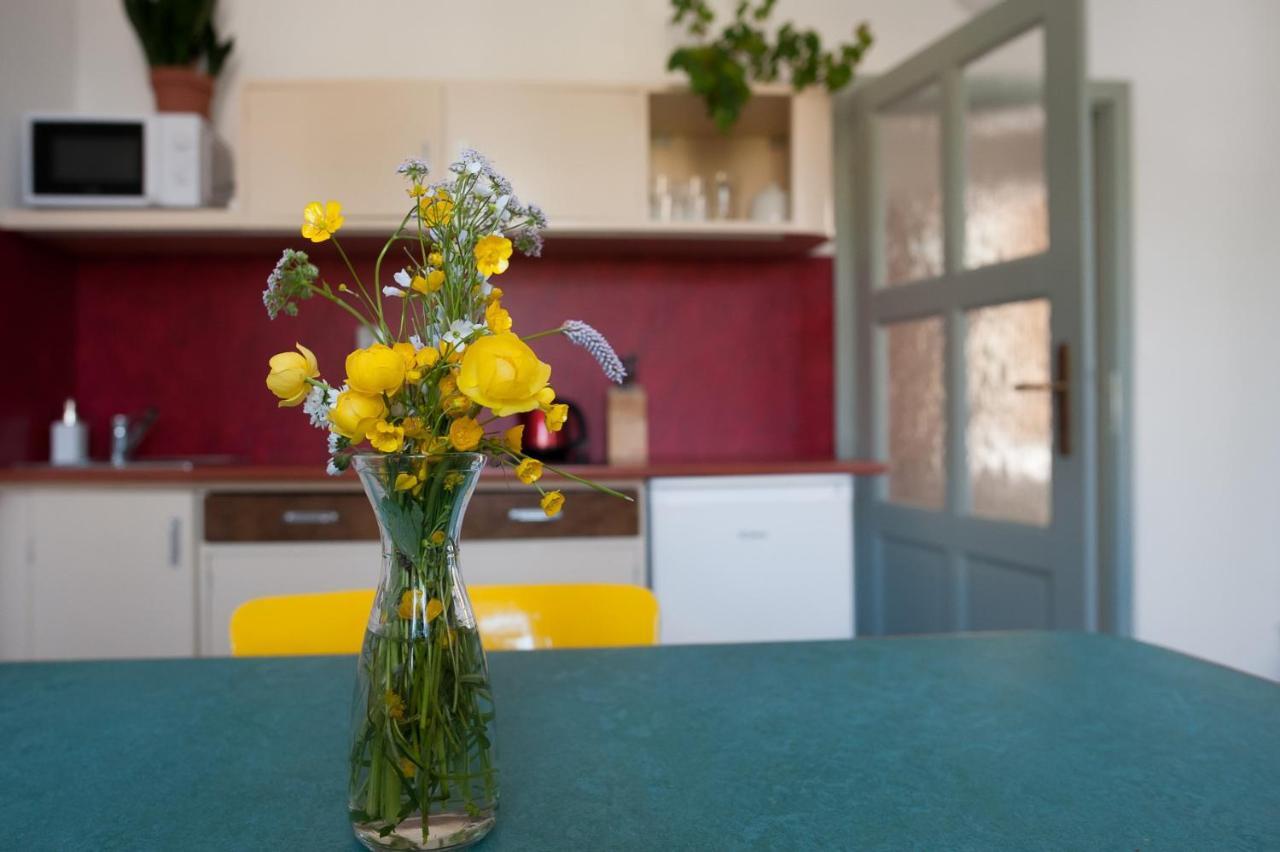 Apartmany16 Olesnice V Orlickych Horach Dış mekan fotoğraf